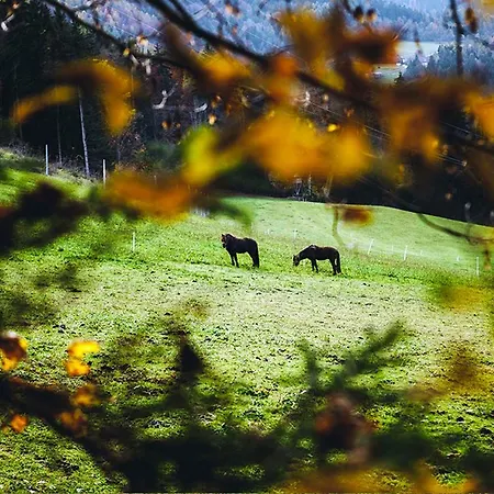 Séjour à la ferme Tourist Farm Samec Sele