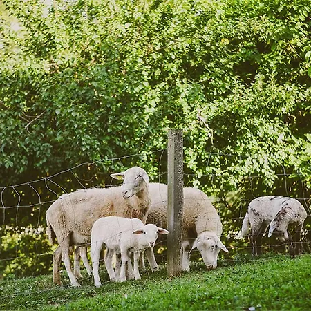 Tourist Farm Samec Фермерский дом