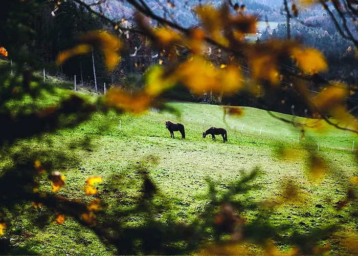Farm stay Tourist Farm Samec Sele