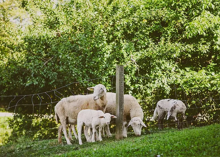 Tourist Farm Samec Farm stay